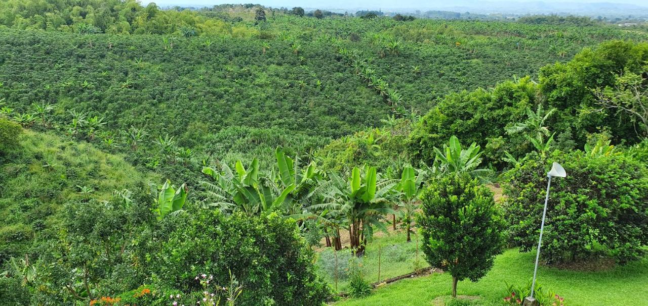 Finca Bellavista Перейра Екстериор снимка